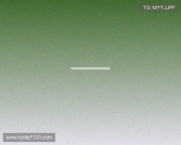 阿斯顿维拉崛起之路：从英超中游到欧洲赛场的挑战与机遇